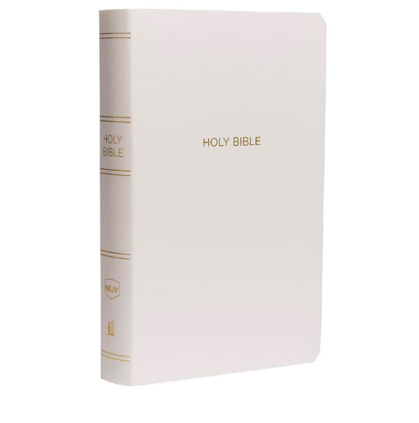 Leather Holy Bible- Economy for Distribution - Image 4