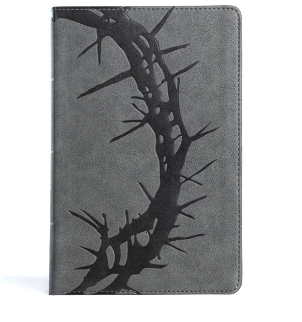 Bible With Thorns