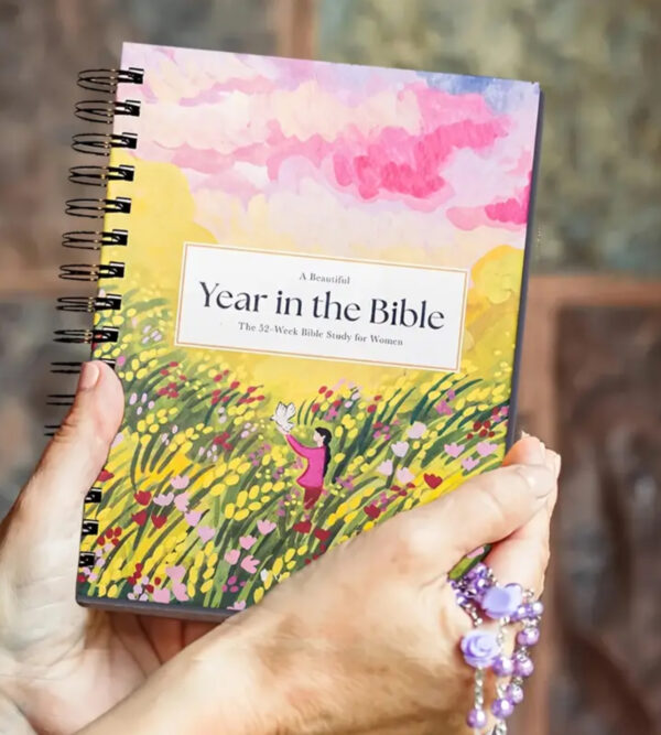 Year In A Bible Study Journal - Image 4