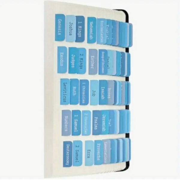 Baby Blue Bible Tabs